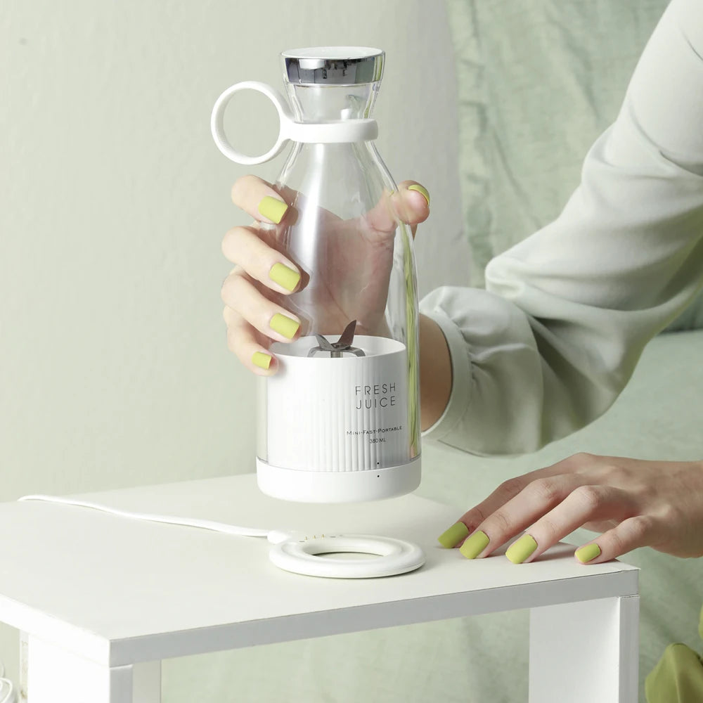 Portable USB Mini Juicer