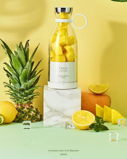 Portable USB Mini Juicer