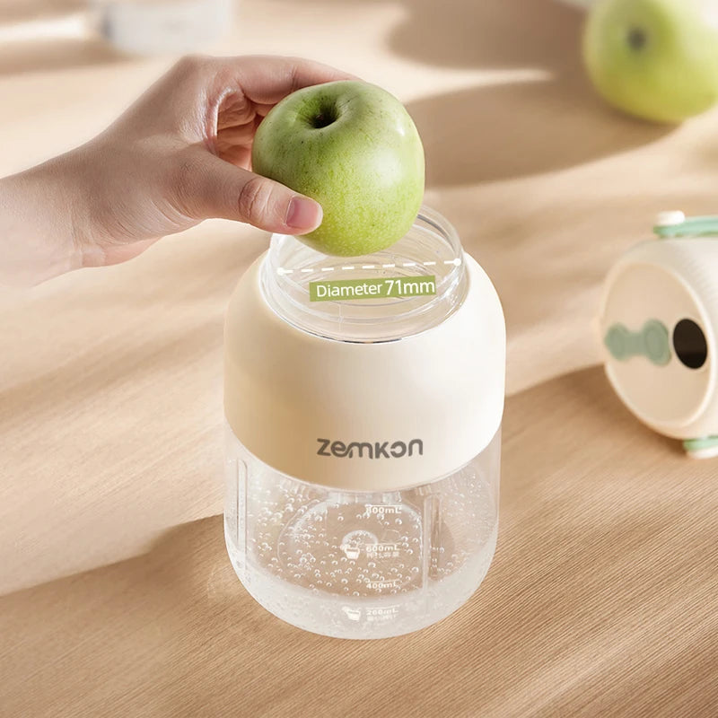 Portable USB Fruit Blender