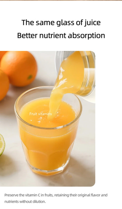 Portable USB Fruit Blender