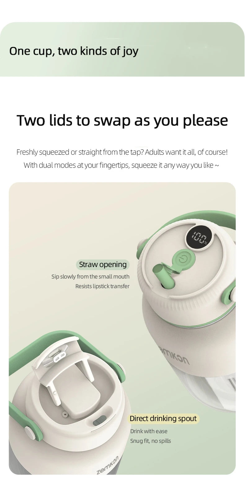 Portable USB Fruit Blender