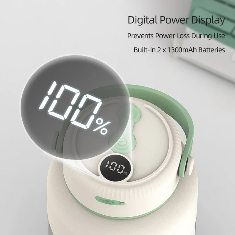 Portable USB Fruit Blender